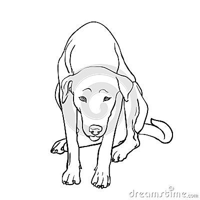 Drawing of sad stray dog Vector Illustration