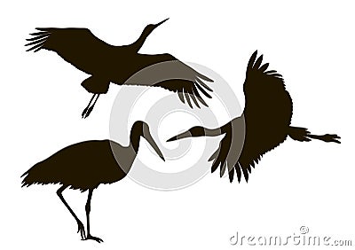 Drawing silhouettes of three storks Vector Illustration