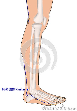 Drawing with Skeleton, Acupuncture Point BL60 Kunlun, 3D Illustration Stock Photo