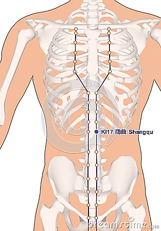 Drawing with Skeleton, Acupuncture Point KI17 Shangqu, 3D Illust