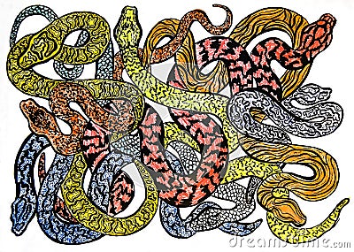 Drawing a sketch of many different colorful snakes dangerous and Stock Photo