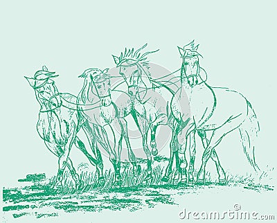 Sketch of running Horse outline editable illustration Vector Illustration