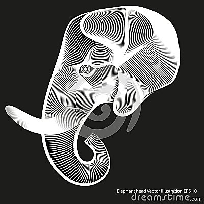 Drawing of a stylized elephant head Vector Illustration