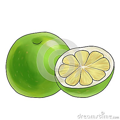 drawing sweetie, fruits at white background Cartoon Illustration