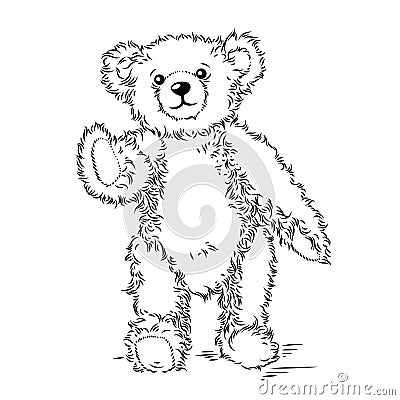 Drawing Teddy Bear with bow Vector Illustration