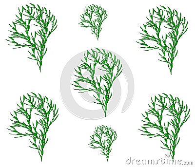 Drawing tree, sprout. Vector Illustration