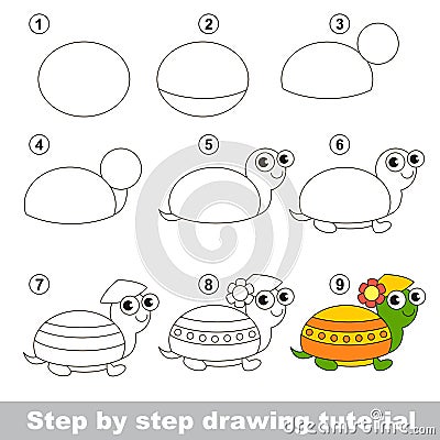 Drawing tutorial. How to draw a Turtle Vector Illustration