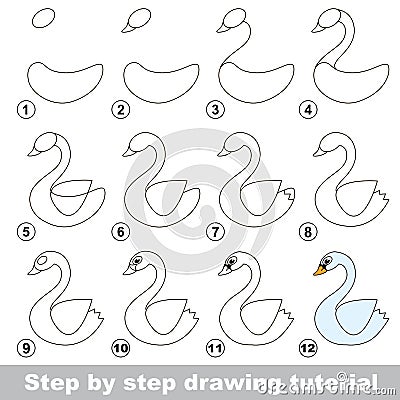 Drawing tutorial. How to draw a White Swan Vector Illustration