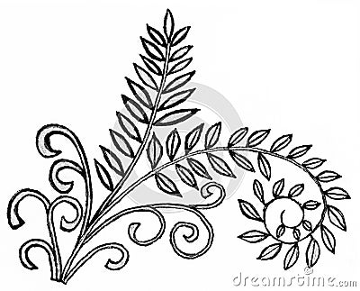 A drawing of a twig with leaves and tendrils. Stock Photo