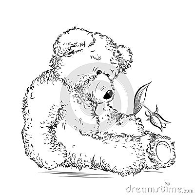 Drawing unhappy Teddy Bear with broken flower Vector Illustration