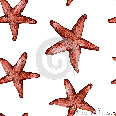 Drawing with watercolor red starfish in the class of invertebrates such as echinoderms Vector Illustration