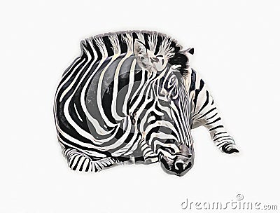 Drawing of Zebra, sketch of african mammal illustration Cartoon Illustration