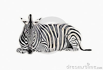 Drawing of Zebra, sketch of african mammal illustration Cartoon Illustration