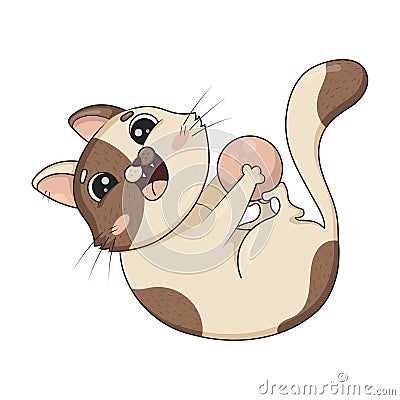 Drawn cute cat funny lying on his back grabbing the ball and kicking it with his paws is played isolated on a white background Vector Illustration