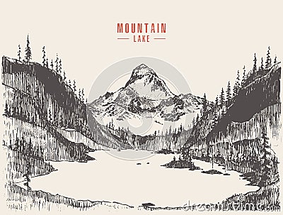 Drawn mountain landscape pine forest lake vector Vector Illustration