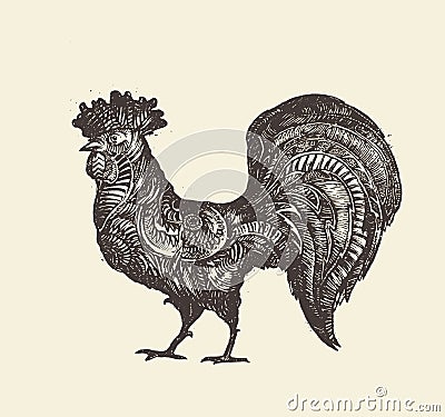 Drawn rooster vintage vector illustration, sketch Vector Illustration
