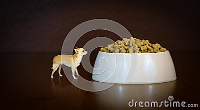 Dream Big! Small Dog's Perspective! Stock Photo