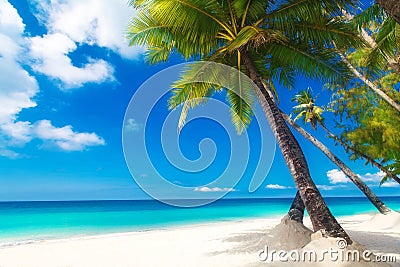 Dream scene. Beautiful palm tree over white sand beach. Summer n Stock Photo