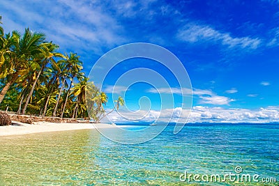 Dream scene. Beautiful palm trees above the white sand beach, th Stock Photo