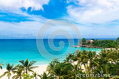 Dream scene. Beautiful palm trees above the white sand beach, th Stock Photo