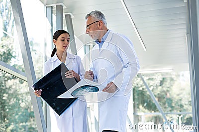 Amazing assistant holding X-ray photos in both hands Stock Photo