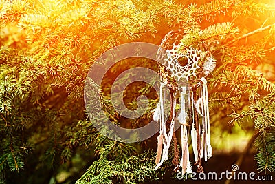Dreamcatcher, american native amulet on sunset. Shaman Stock Photo
