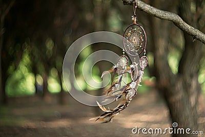 Dreamcatcher, magical spiritual Indian shaman amulet, mystical. Stock Photo