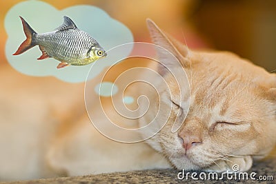 Dreaming cat Vector Illustration