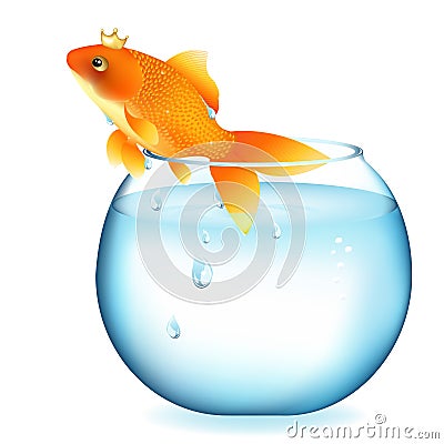 Dreaming Goldfish In Aquarium. Vector Vector Illustration