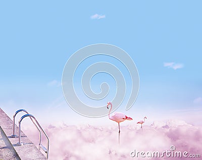 Dreaming vacation concept - pink flamingos stand in the pool Stock Photo
