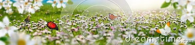 Dreamland spring landscape panorama with flowers and butterflies Stock Photo