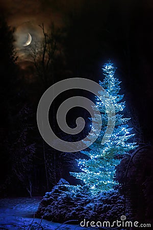 Dreamlike winter scene. Christmas tree among snowy forest at snowfall night. Xmas celebration background with bright crescent Stock Photo