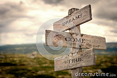 Dreams come true wooden signpost outdoors in nature. Cartoon Illustration