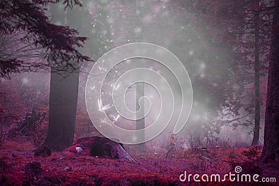 Dreamy fairytale forest scene with magic fireflies, foggy surreal forest Stock Photo