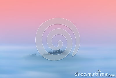 Dreamy magic landscape of hazy forest Stock Photo