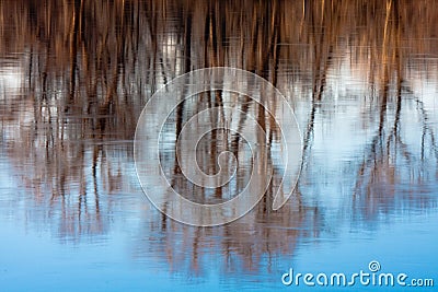 Dreamy Reflection of Trees in River Stock Photo