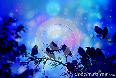 Dreamy scene with starling birds sittin on the tree branches in the garden Stock Photo