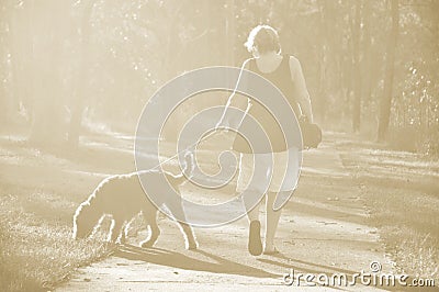 Dreamy soft sepia light background woman walking dog in woods Stock Photo