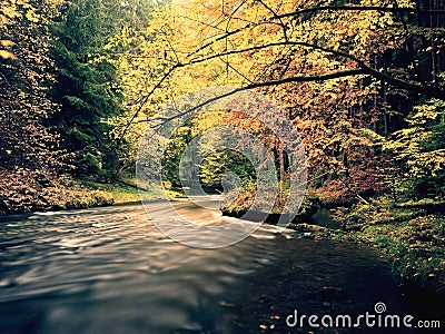 Dreamy sunset above mountain in autumn forest. Colorful mist between trees on river banks Stock Photo