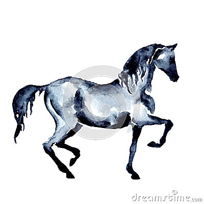 Dressage horse. Equestrian piaffe or passage motion. Watercolor or ink hand painting. Stock Photo