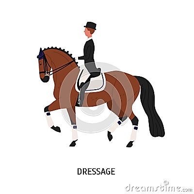 Dressage, horse riding flat vector illustration. Horseman cartoon character. Horse-breaking, training and domestication Vector Illustration