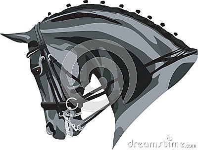 Dressage Horses head Vector Illustration