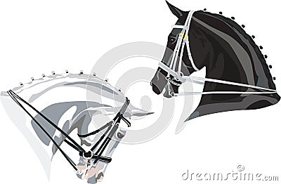 Dressage Horses heads Black and White Vector Illustration