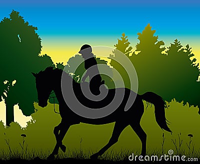 Dressage in the morning - silhouette Vector Illustration