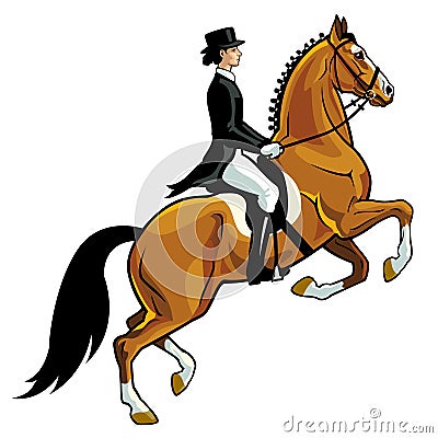 Dressage rider Vector Illustration