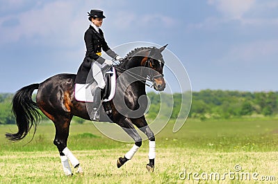Dressage rider on bay horse galloping in field Stock Photo