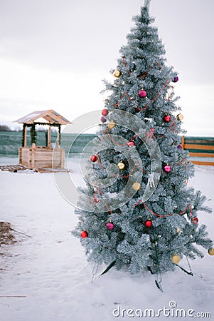Dressed christmas tree outdoors in a village Stock Photo