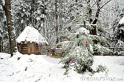Dressed Christmas tree and small wooden hut in a tranquil winter forest. Stock Photo