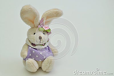 Dressed Easter bunny Stock Photo