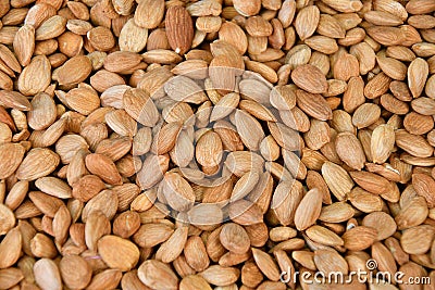 Dried almond kernel Stock Photo